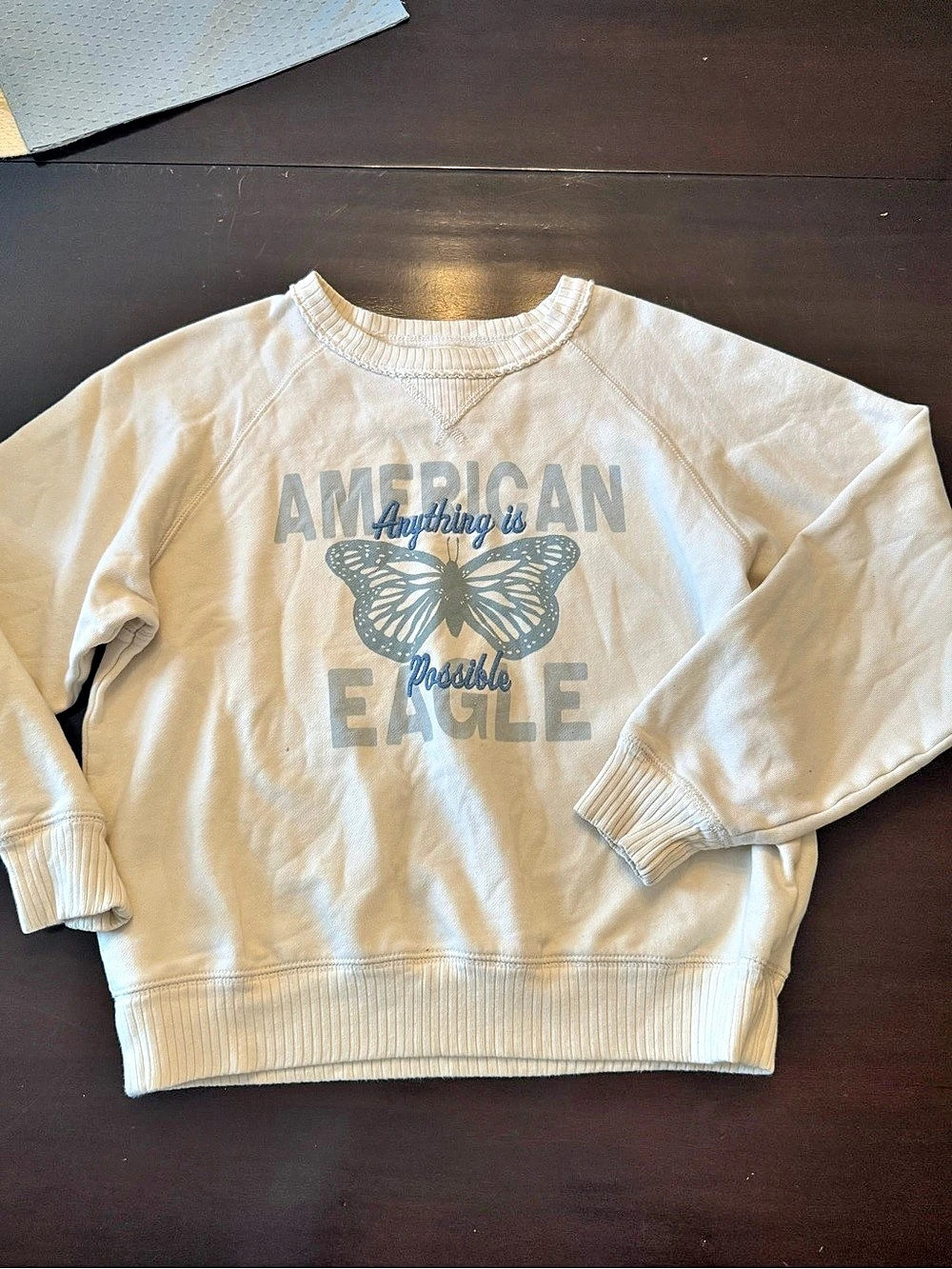 American Eagle Anything is Possible Butterfly Lived-In Crewneck Sweatshirt White